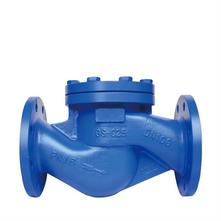 lift-check-valve-01